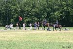 IMG_1550.jpg