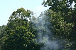 IMG_3436.jpg