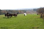 IMG_2861.jpg
