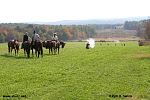 IMG_2864.jpg