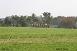 IMG_2937.jpg