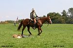 IMG_2961.jpg