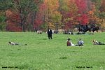 IMG_2985.jpg