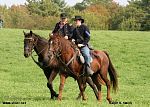 IMG_3002c.jpg