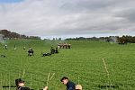 IMG_3440.jpg