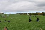 IMG_3479.jpg