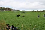 IMG_3519.jpg