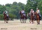 IMG_0659c.jpg