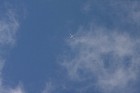 IMG_3846.JPG